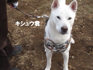 c0185516_13175589.jpg