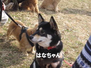 c0185516_13264944.jpg