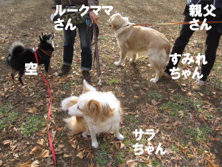 c0185516_1331621.jpg