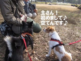 c0185516_13335472.jpg