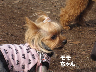 c0185516_1364815.jpg