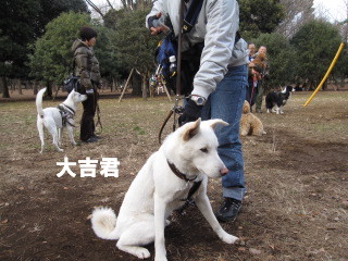 c0185516_1373236.jpg