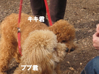 c0185516_13748.jpg