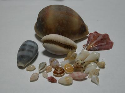 e0175017_20244326.jpg