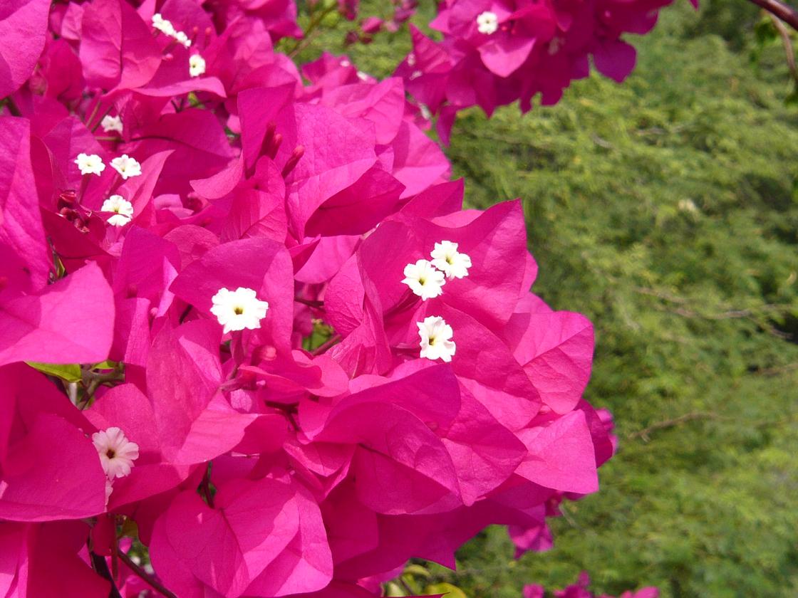 b0057220_21235650.jpg