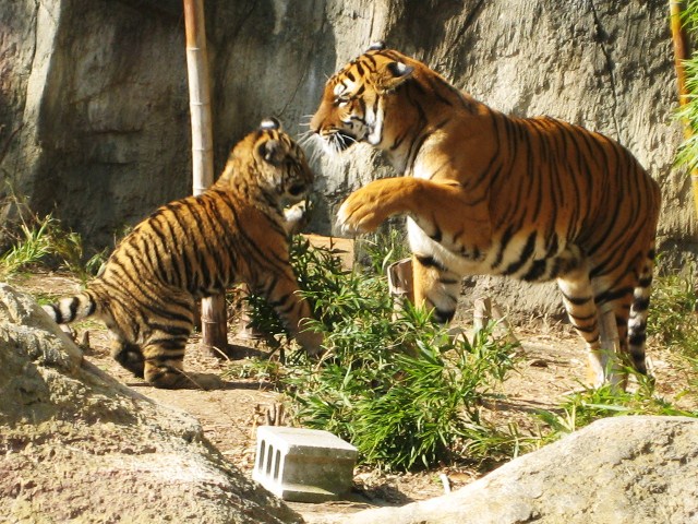 f0031722_1441877.jpg