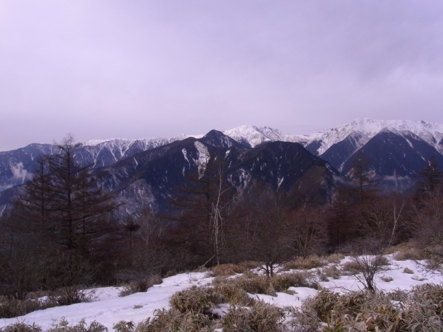 d0111124_10203.jpg