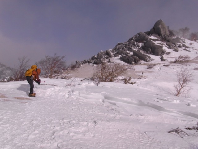 d0111124_113492.jpg