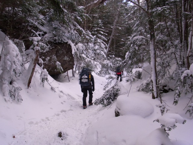 d0111124_1185979.jpg