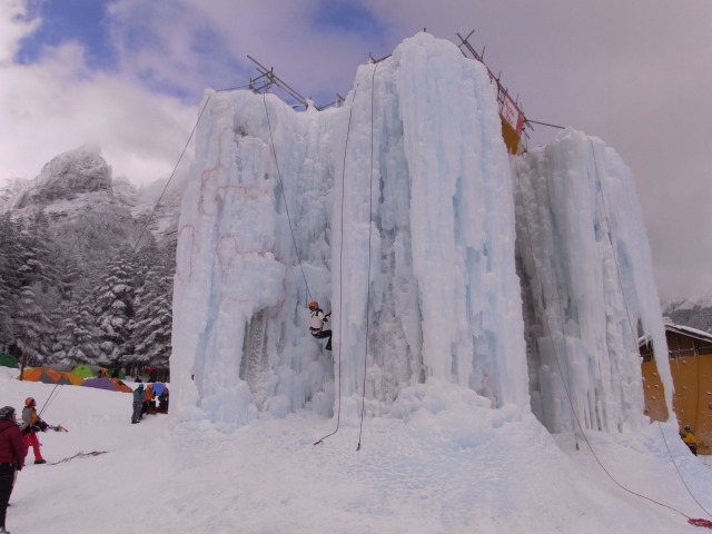 d0111124_1213664.jpg