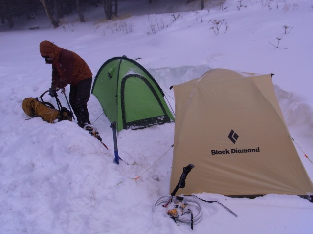d0111124_124520.jpg