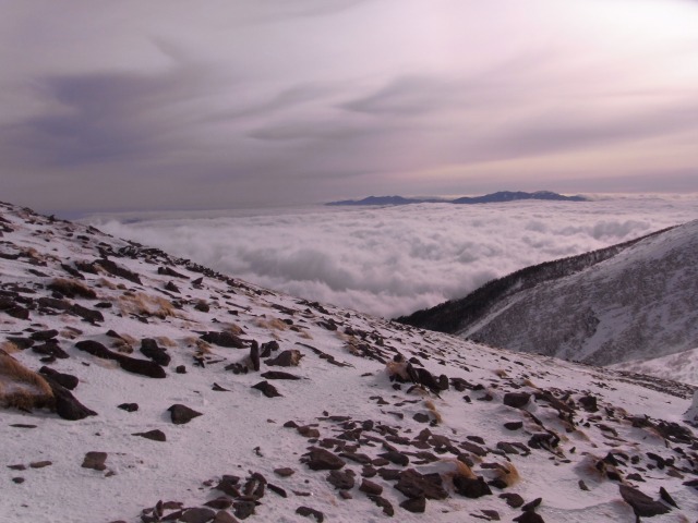 d0111124_1284010.jpg