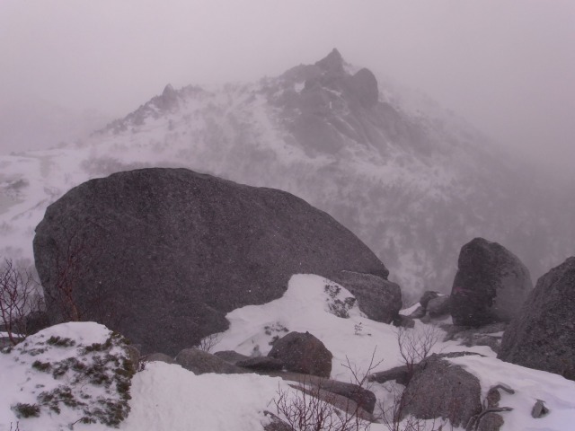 d0111124_154590.jpg
