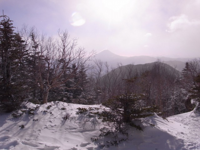 d0111124_173774.jpg
