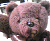 f0190328_13195026.jpg
