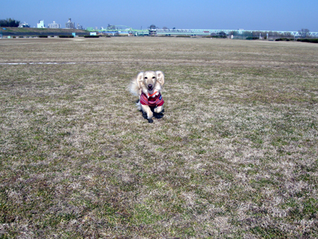 c0117831_21125599.jpg