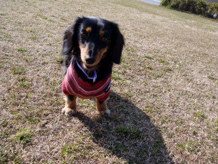 c0117831_2173597.jpg