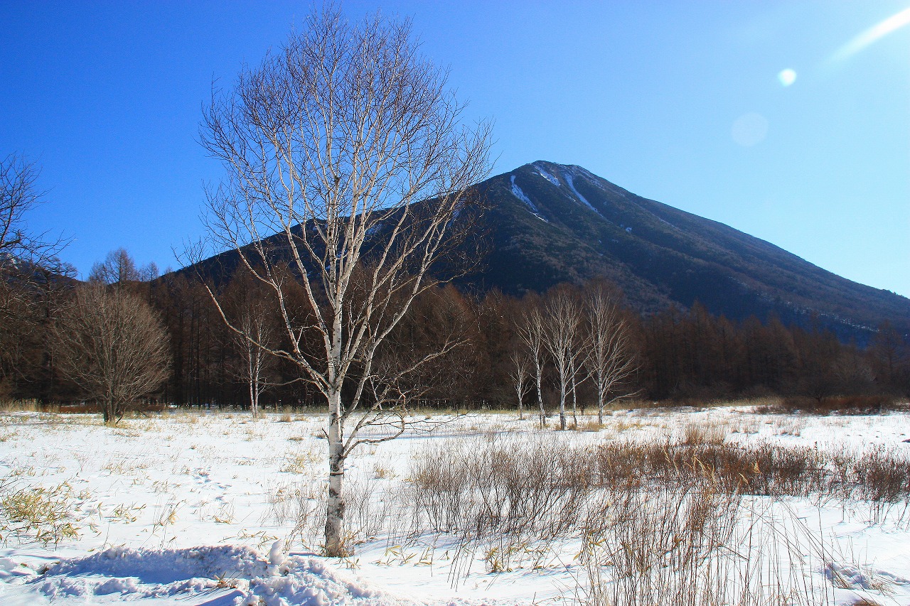 c0229539_1015679.jpg