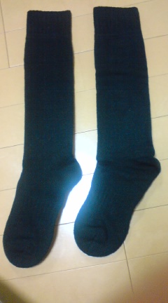 c0157540_14134736.jpg