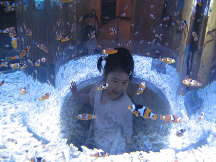 d0016540_1053582.jpg