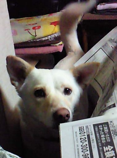 f0195543_2116392.jpg