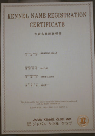 b0143546_2232563.jpg