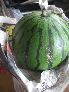 f0009451_93998.jpg