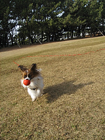 c0074156_1145671.jpg