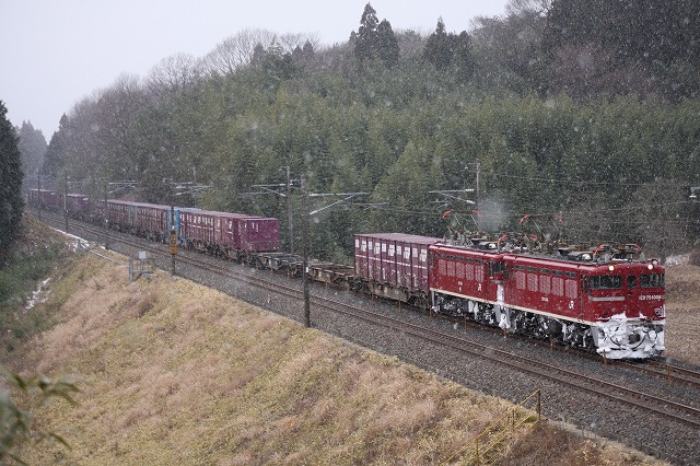 b0002858_02488.jpg