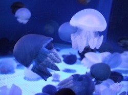 c0047860_2152235.jpg