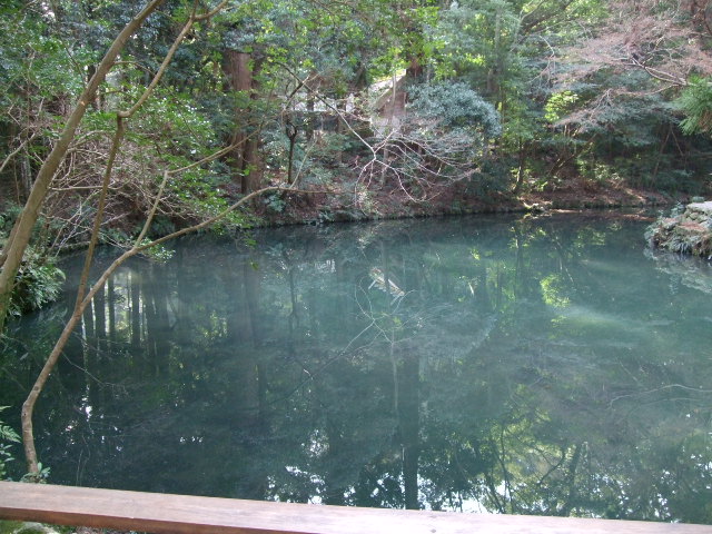 f0203260_12113911.jpg