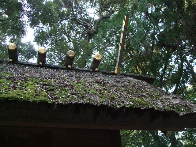 f0203260_12122876.jpg