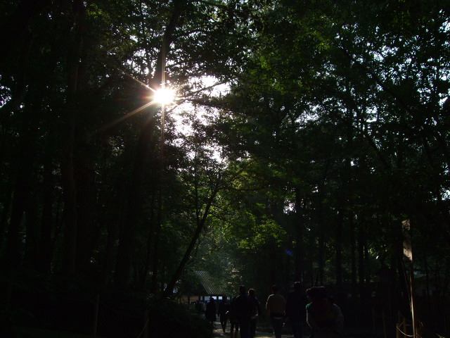 f0203260_12125025.jpg