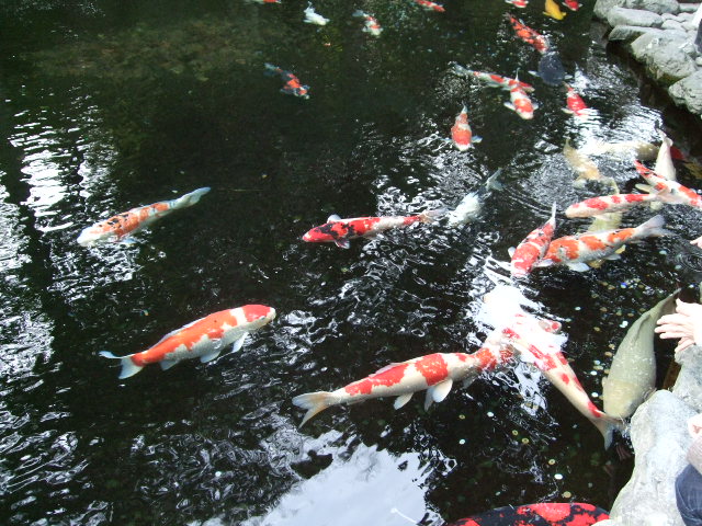 f0203260_12131650.jpg