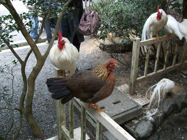 f0203260_12132737.jpg
