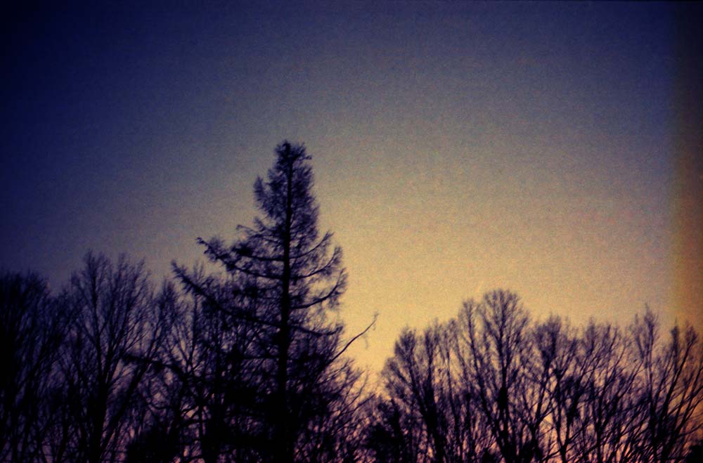 c0196166_059960.jpg