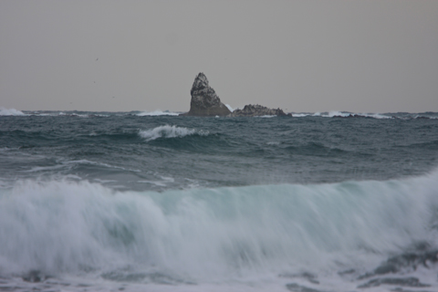 a0157069_891837.jpg
