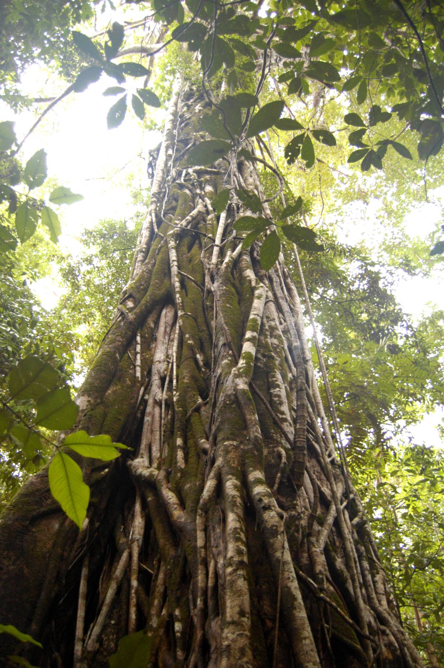 f0159179_1517287.jpg