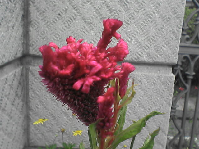 c0069380_19152518.jpg