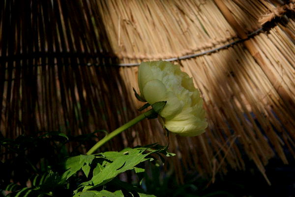 b0171185_22485468.jpg