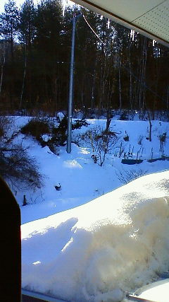 a0130586_2141387.jpg