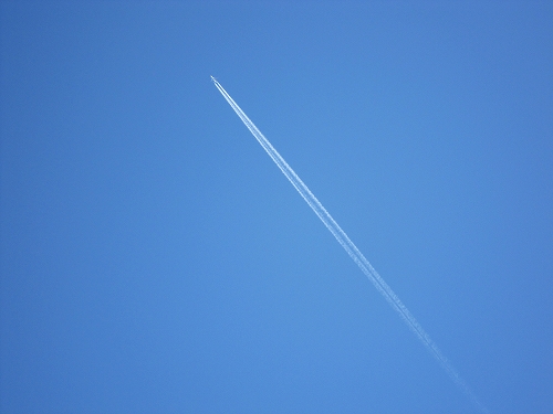 c0160488_204388.jpg