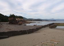 a0125598_2045443.jpg