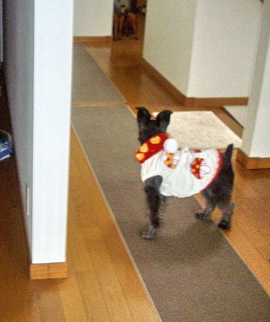 c0138198_18261872.jpg