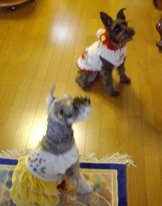 c0138198_1834395.jpg