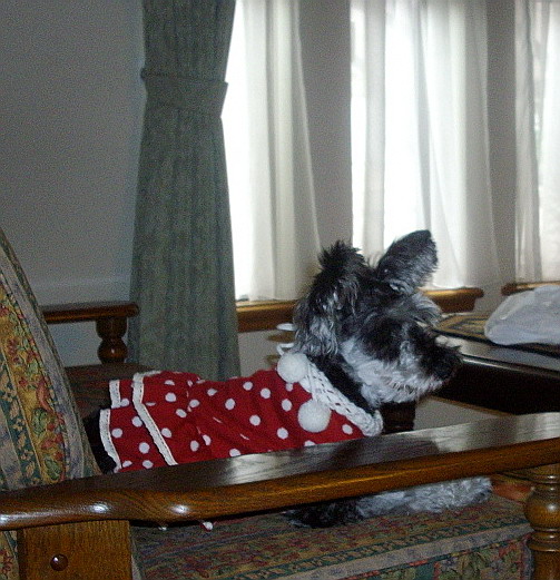 c0138198_18401424.jpg
