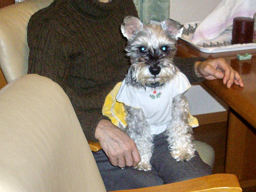 c0138198_18415713.jpg