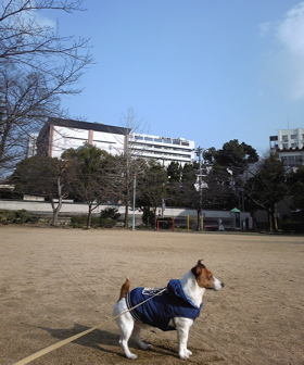 f0146198_075864.jpg