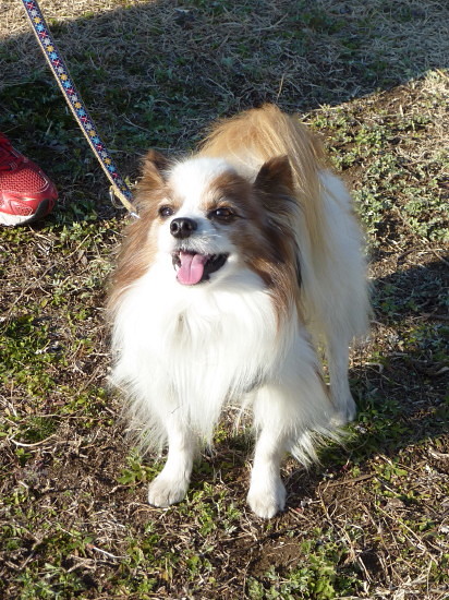c0044199_0255016.jpg