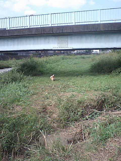 b0122401_22554886.jpg